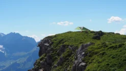 Exped Scout Tarp Extreme -Remise Camping exped scout tarp extreme 06