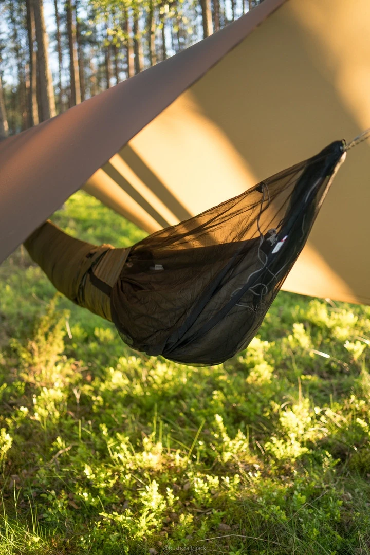 Lesovik Larva 19 Lesovik Larva – Image 19