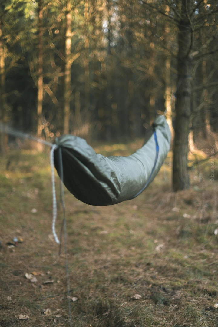 Lesovik Larva 15 Lesovik Larva – Image 15