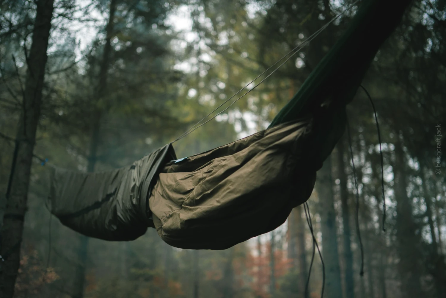 Lesovik Larva 10 Lesovik Larva – Image 10