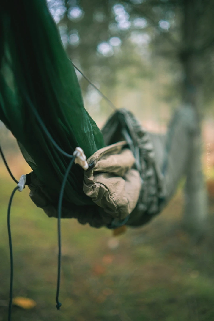 Lesovik Larva 12 Lesovik Larva – Image 12