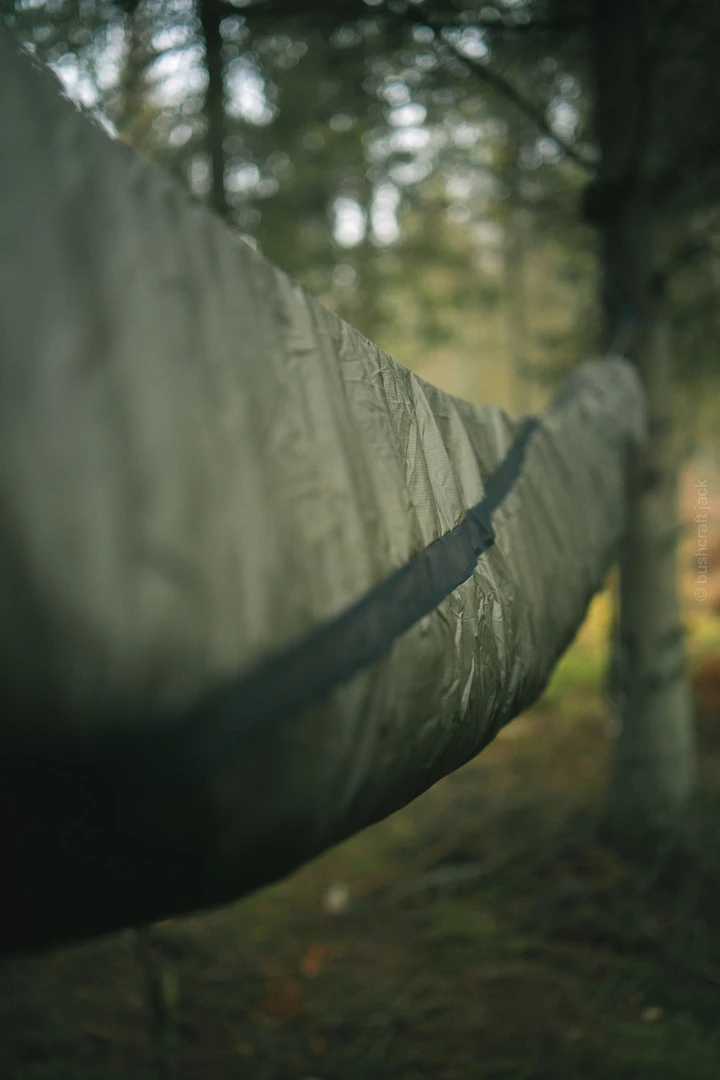 Lesovik Larva 6 Lesovik Larva – Image 6