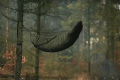 Lesovik Larva 27 Lesovik Larva -Remise Camping lesovik larva 15