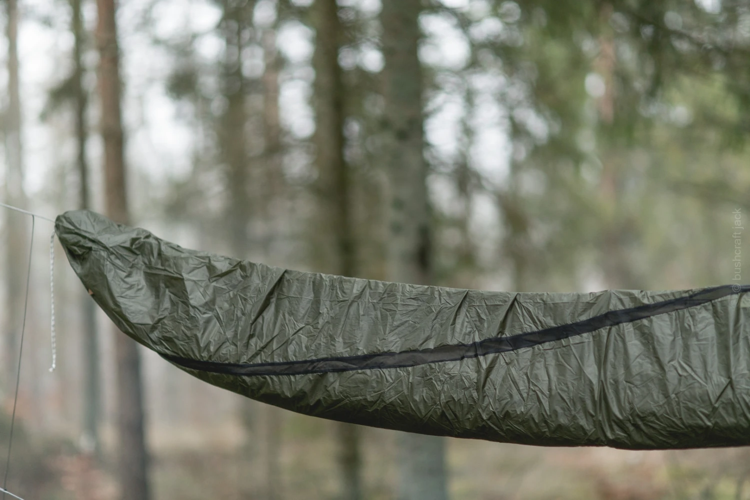 Lesovik Larva 3 Lesovik Larva – Image 3