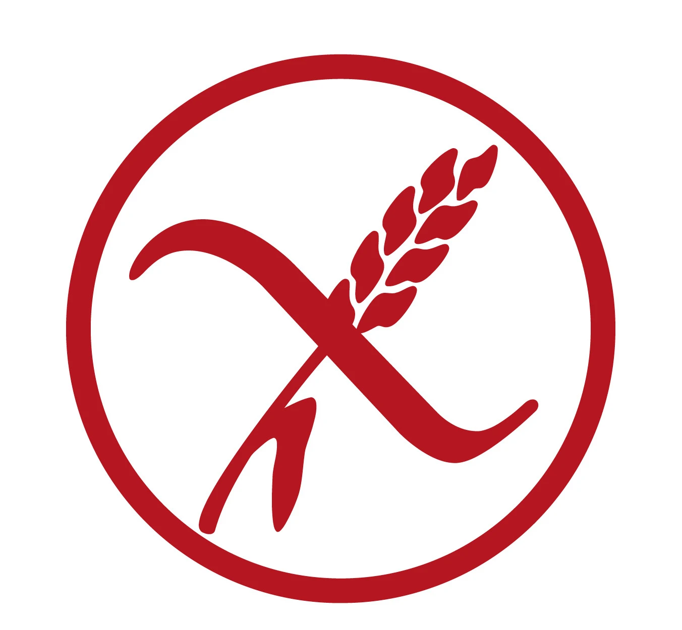 Barre Aux Noix Datte Gingembre Bio 4 Barre Aux Noix Datte Gingembre Bio – Image 4