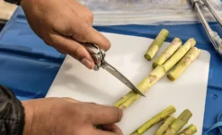 Leatherman Curl -Remise Camping multi outil pince multifonction leatherman curl 03 1